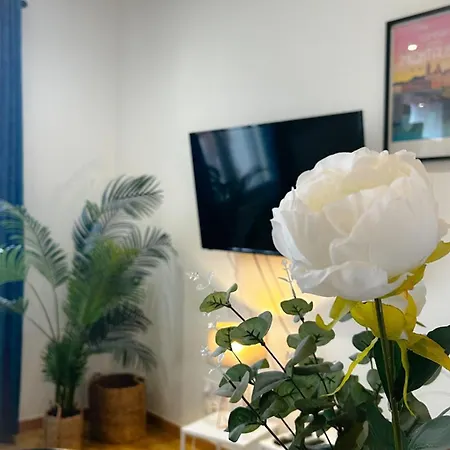 Voyage Au Canal - Parking Clim Netflix Amazon *